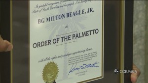 Beagle Palmetto