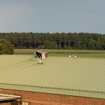 Img 0962