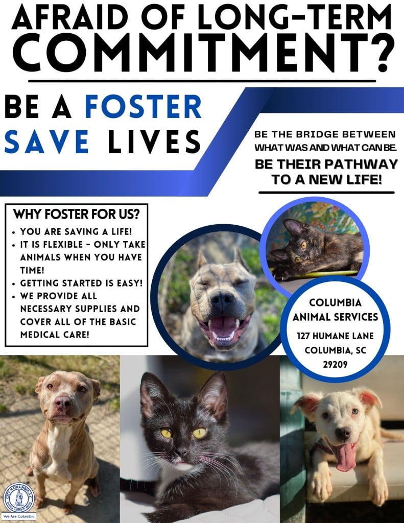 Foster Flyer