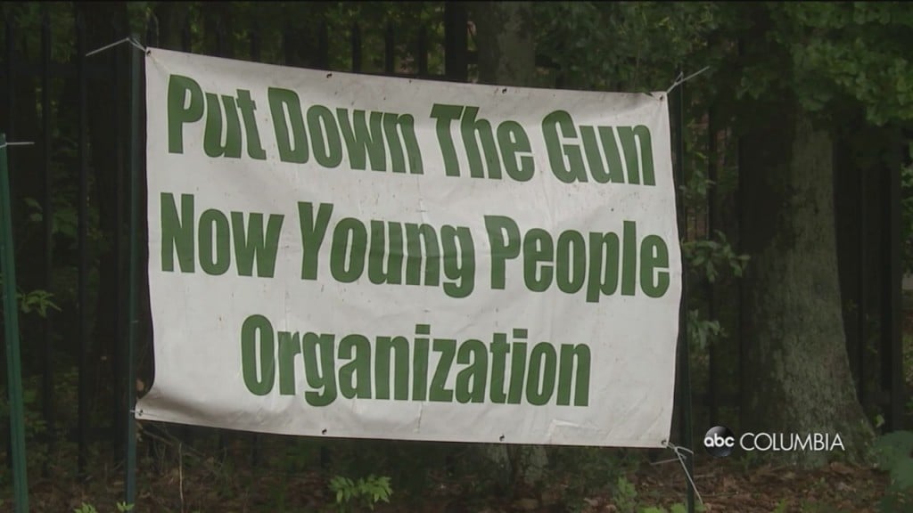 Put Down The Gun