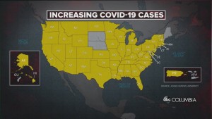Covid Wed Pkg