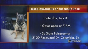 Guardians Of The Night