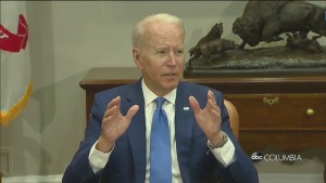 Biden Guns