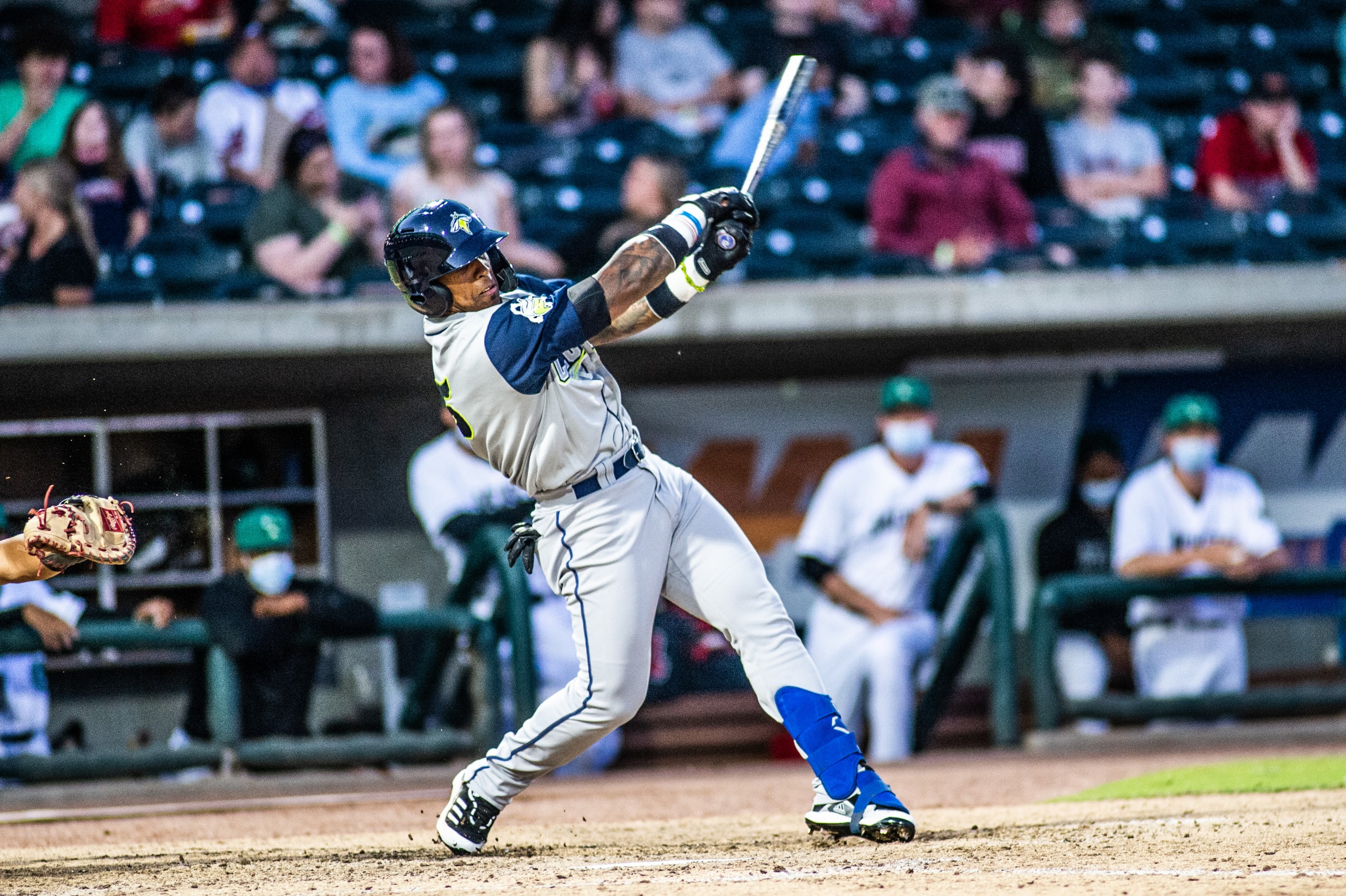 Negret leads way in historic 20-1 Fireflies victory - Vimarsana News
