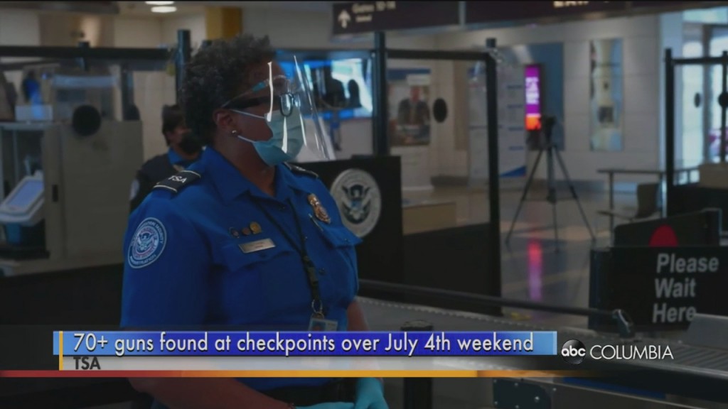 Tsa Gun Checkpoint