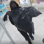 Lpd Ulta Shoplift 1