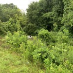 Cola Fire Car In Creek 2
