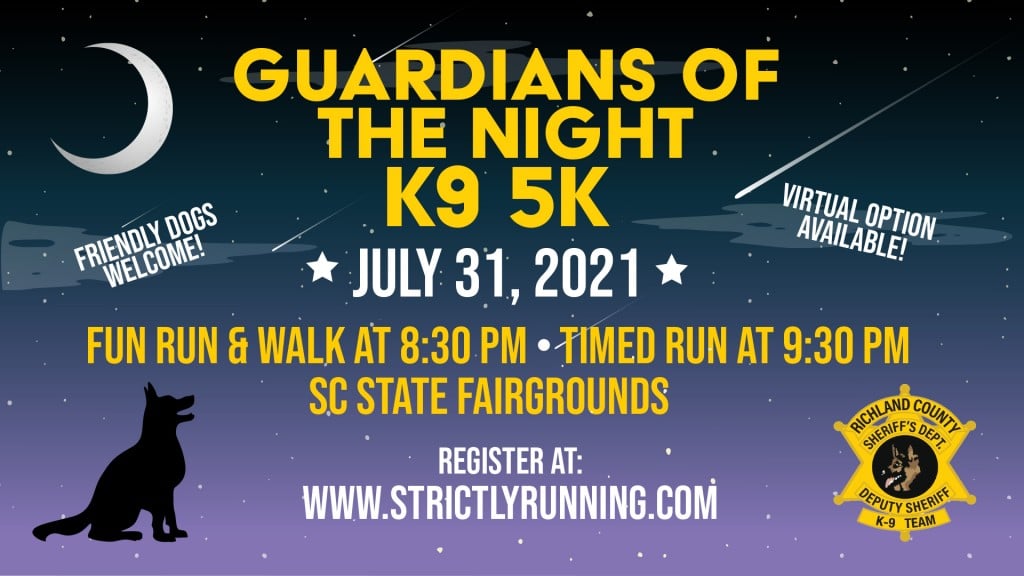 Guardians Of The Night Flyer