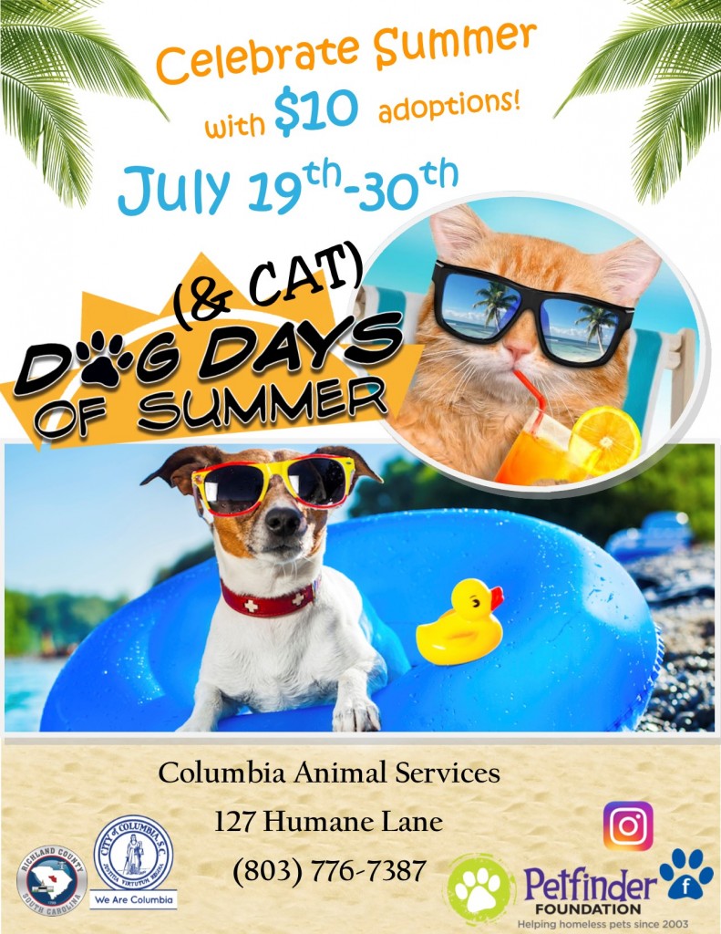 Dogsdaysofsummer2021