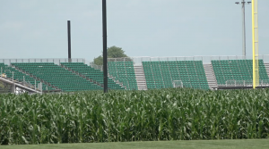 Field Of Dreams