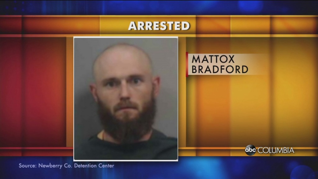 High Speed Arrest Newberry