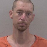Hanna Bradley Harold