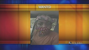 Id Fraud Suspect