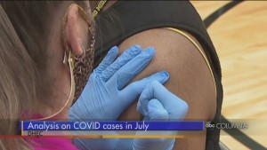 Dhec Vax Analysis