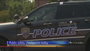 Lex Check Points