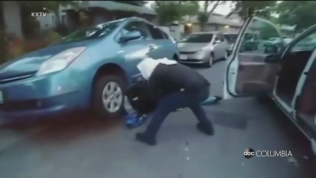 Car Part Thieves