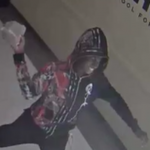 Irmo Hs Vandal 1