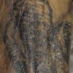 Sumter Coroner Tattoo 0927