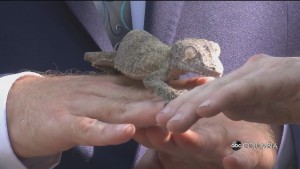 Zoo Groundbreaking