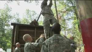 Military Gov Alex Pkg
