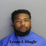 Levon J Dingle