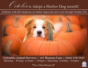 October Adoption Special