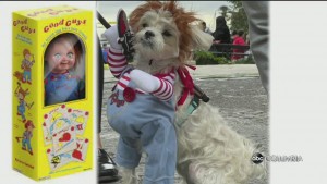 Halloween Pets