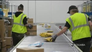 Shipping