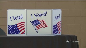 Voter Turnout Miya Pkg