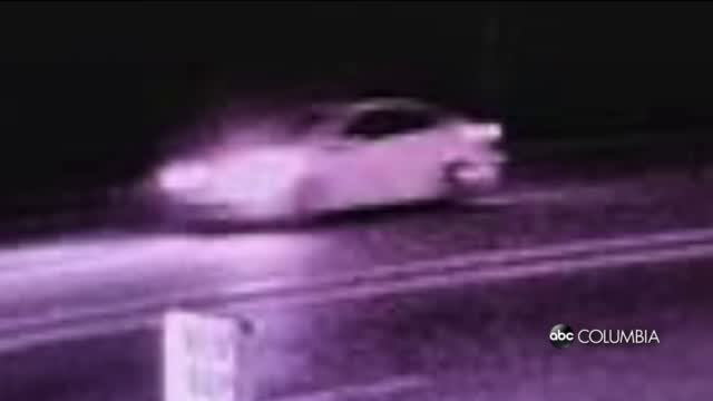 Cayce Hit And Run