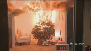 Chirstmas Tree Danger