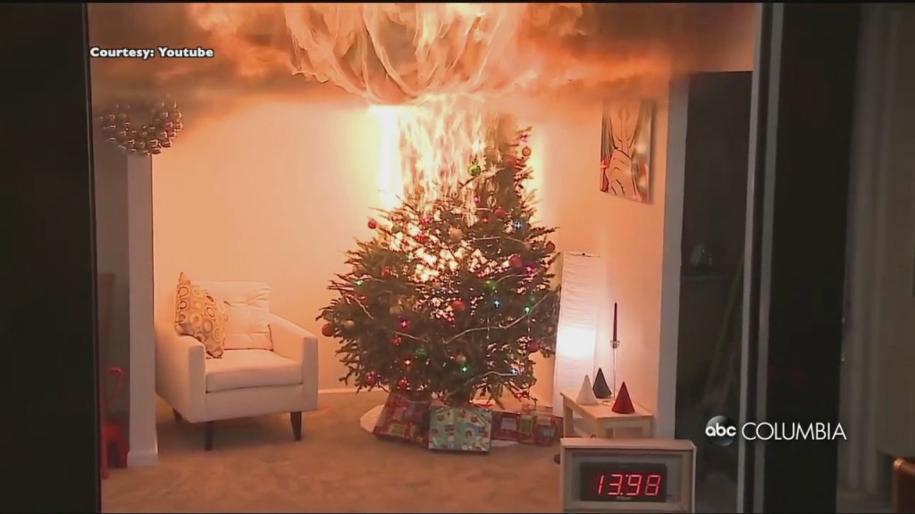 Xmas Tree Safety