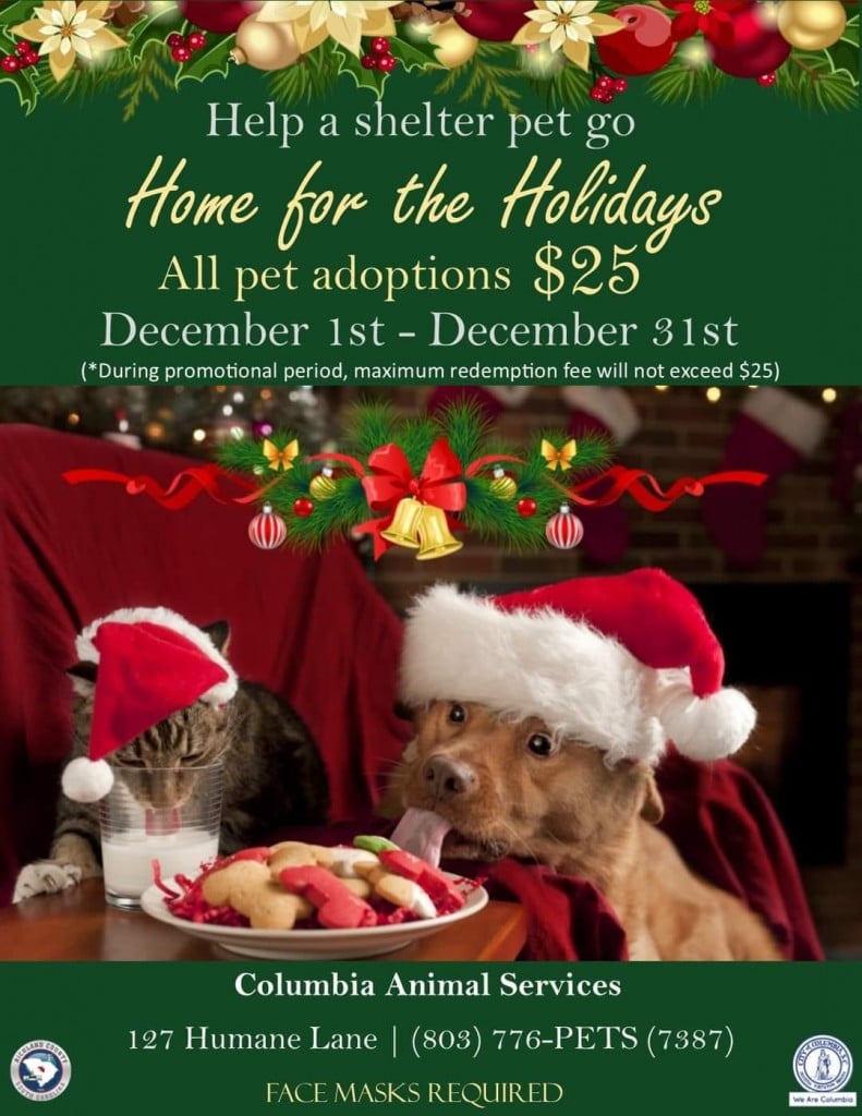 Home For The Holidays Adoption Special