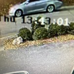 12162021 Nf Shooting Car 1