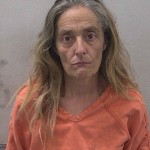 Jackson Tammy