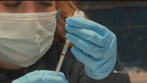 Dhec Update Alex Pkg