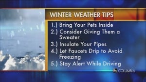 Winter Wx Tips