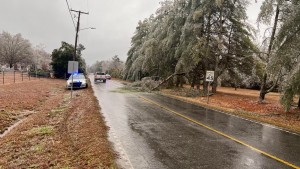 Sandfield Road Blythewood