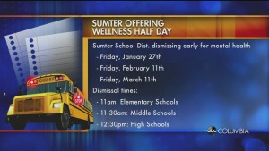 Sumter Wellness Day