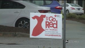 Cola Go Red Alex Pkg