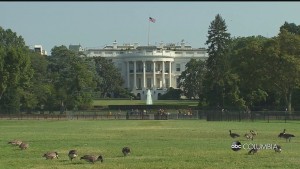 Usc President's Day Miya Pkg