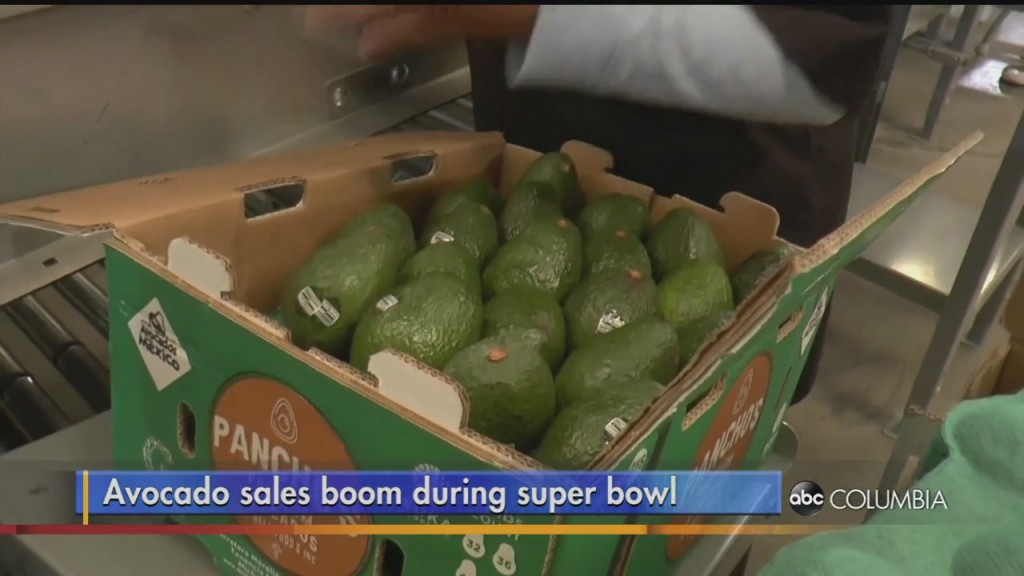 Avocado Sb