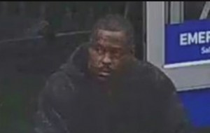 Suspected Shoplifter