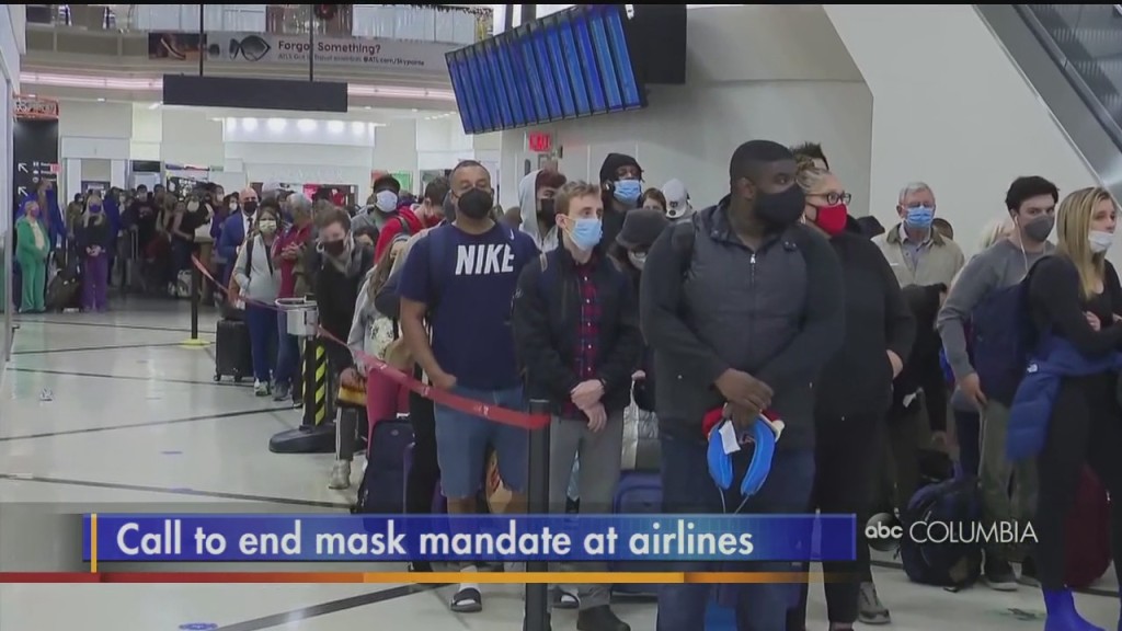 Airlines Mask