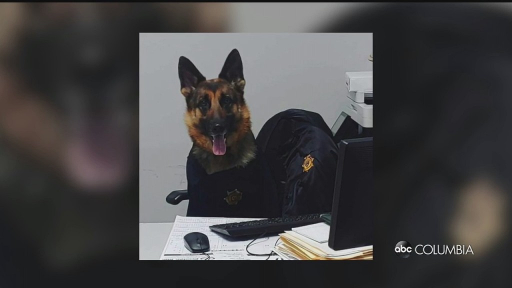 Nala Honored