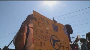 Anti Gun Violence Miya Pkg