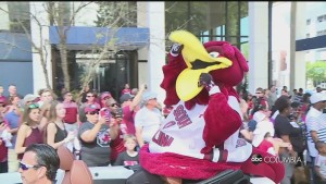 Alex Live Parade Preview 530