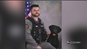 Cayce On Barr Miya Pkg