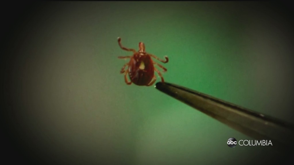 Lyme Disease