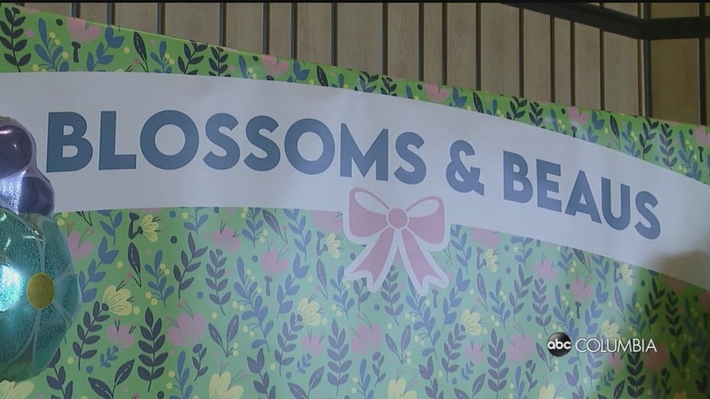 Blossom And Beaus